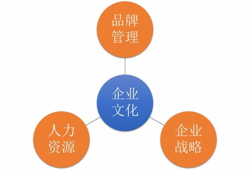 如何為甲方提供滿意的企業(yè)文化咨詢服務